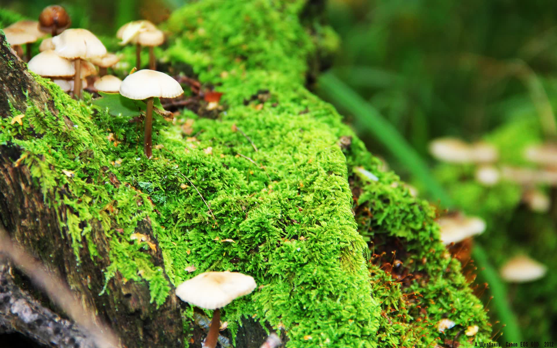世界帆船公开赛:海况挑战提升比赛观赏性,帆船比赛世界排名